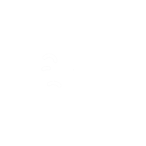 website logo